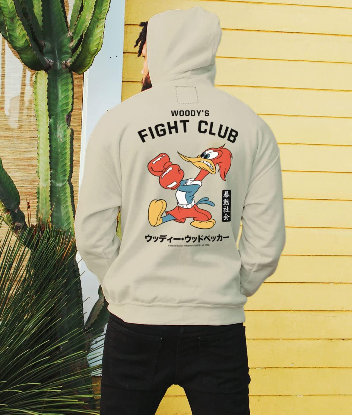 Men'S Graphic or Embroidered Hoodie Hooded Sweatshirt