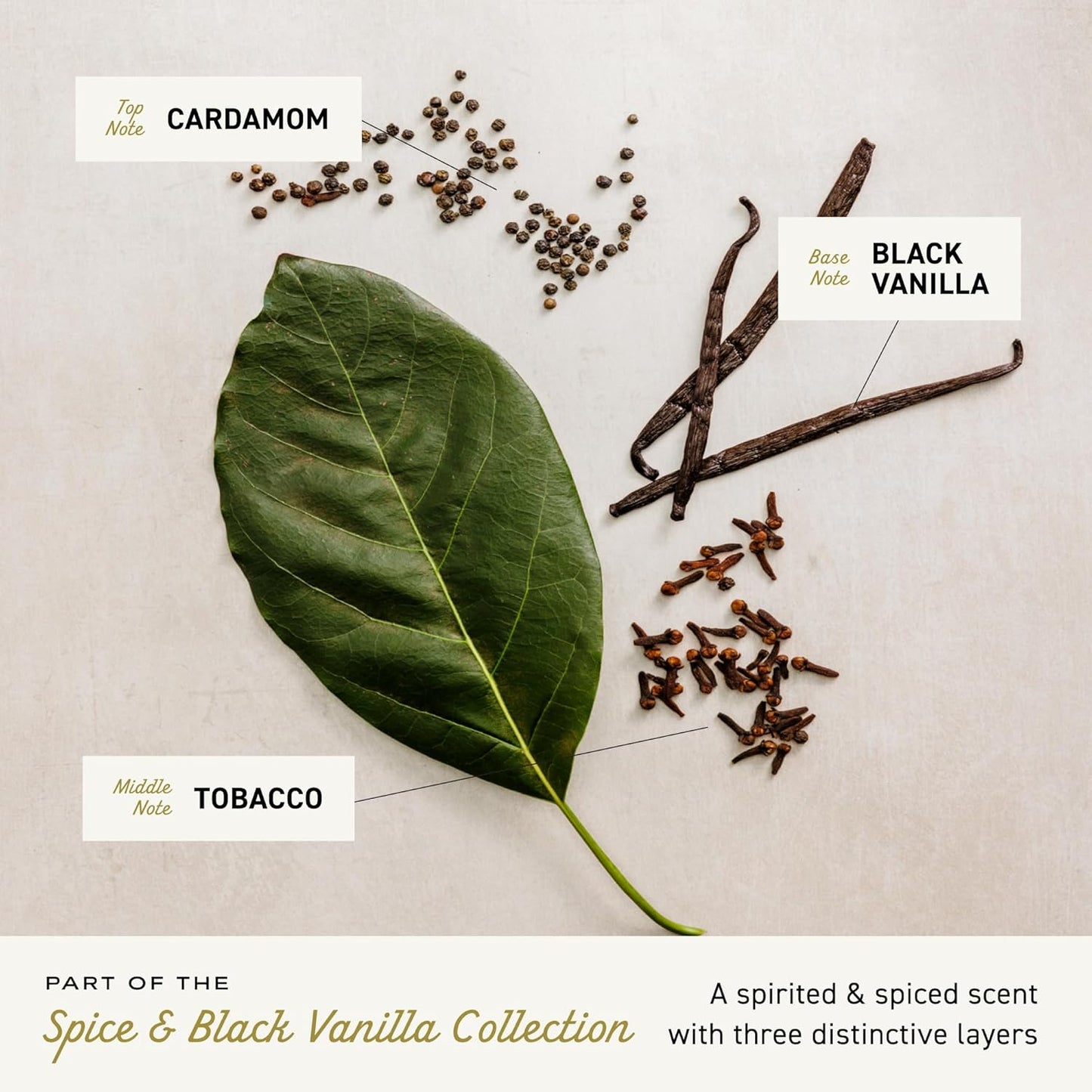 Cologne for Men - Spice & Black Vanilla Mens Cologne Spray, an Explosion of Vibrant Spices, Dark Woods and Black Vanilla, Multi-Layered Signature Men'S Fragrances, 3.4 Fl Oz